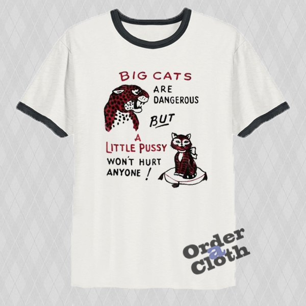 Big Cats Are Dangerous But Little Pussy Won T Hurt Anyone T Shirt