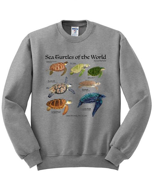 turtle sweatshirt